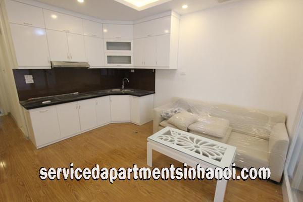 Nice and Cheap Price Apartment Rental in Close to Vincom Center 3