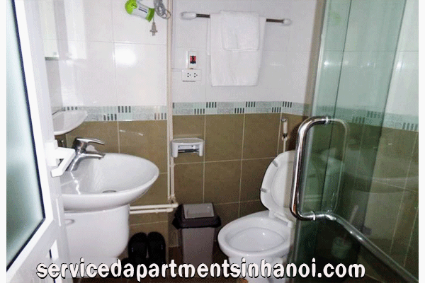Nice Apartment Rental in Pho Hue street, Hai Ba Trung 6
