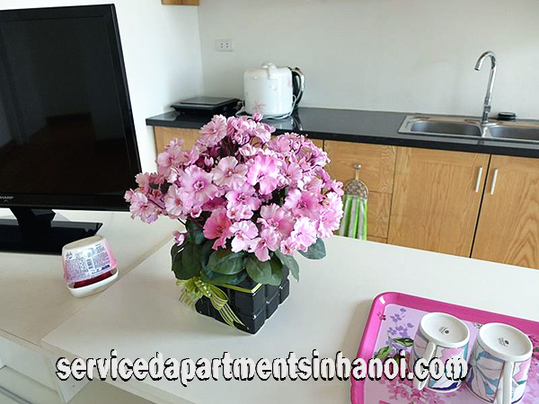 Nice One Bedroom Apartment for rent in Lang Ha str, Dong Da 5