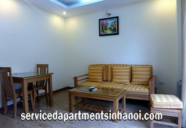 Nice serviced apartment for rent in Au Co, brand new and full services 2