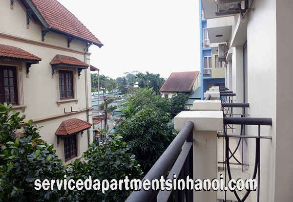 Nice serviced apartment for rent in Au Co, brand new and full services 5