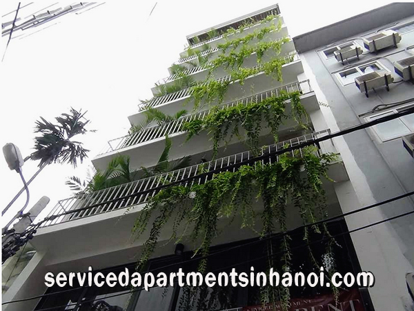 Nice Serviced Apartment for rent in Three Tree Building, Kim Ma 1