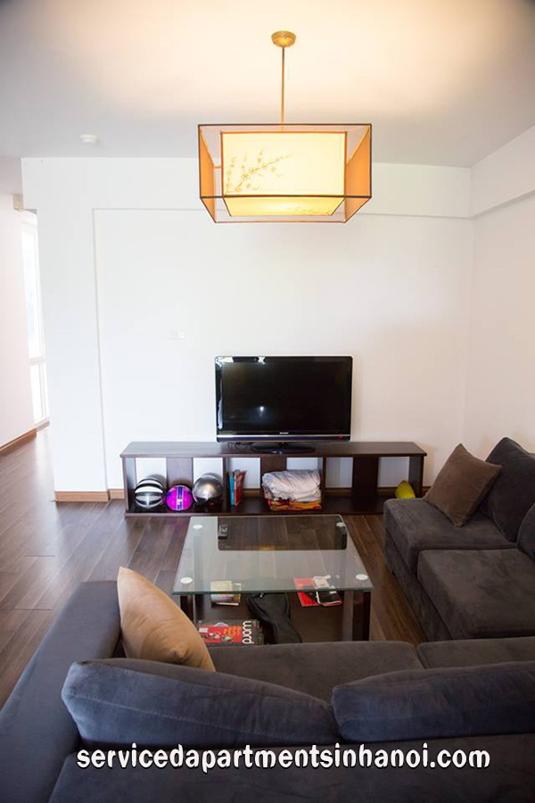 Nicely renovated 1 bedroom apartment in an elevator building off Dang Thai Mai 3