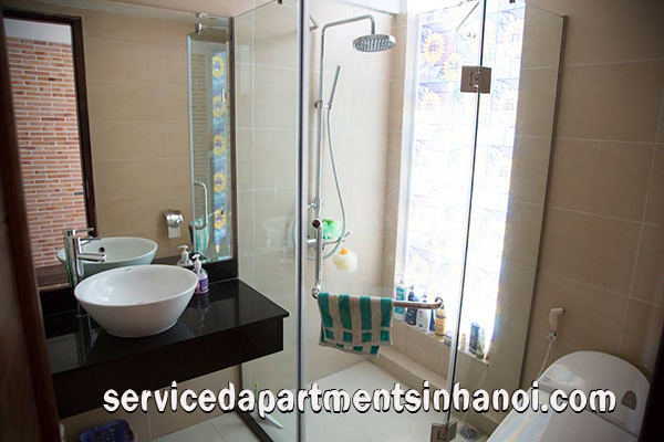 Nicely renovated 1 bedroom apartment in an elevator building off Dang Thai Mai 8