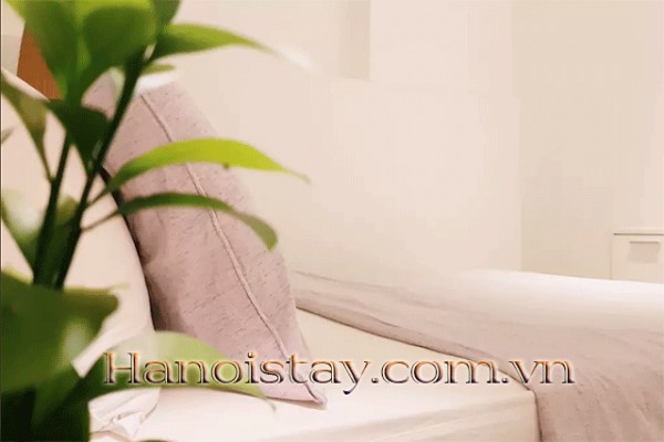 One Bedroom Apartment for rent in Van Bao Str, Ba Dinh 4