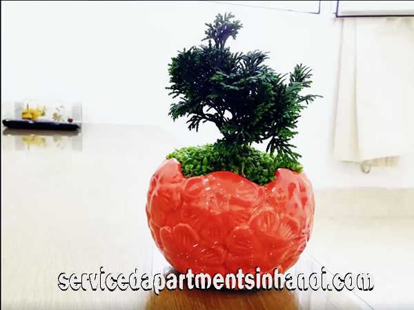 One bedroom Apartment in Thuy Khue str, Ba Dinh, Close to West Lake 4