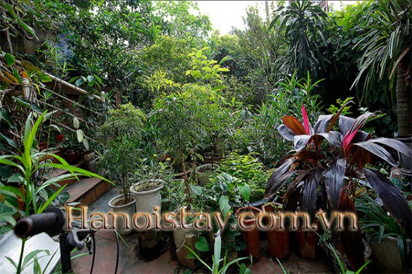 Peaceful Tay Ho House For Rent❤Green view from sparkle Window 8
