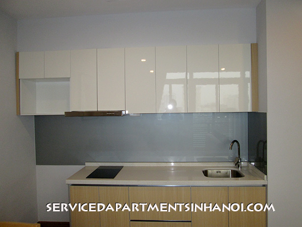 Renovated and well designed serviced apartment for rent near Giang Vo Lake 7