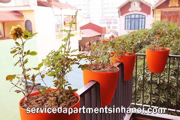 Rental one bedroom apartment in Cau Giay, High quality furniture, full services 1