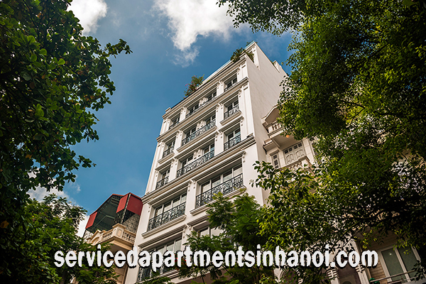 Royal Type Two bedroom Apartment Rental in Center of Hai Ba Trung 1