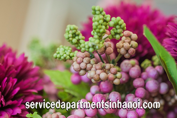 Royal Type Two bedroom Apartment Rental in Center of Hai Ba Trung 10