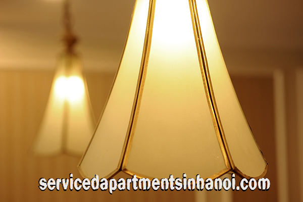 Royal Type Two bedroom Apartment Rental in Center of Hai Ba Trung 11