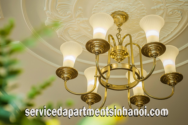 Royal Type Two bedroom Apartment Rental in Center of Hai Ba Trung 9