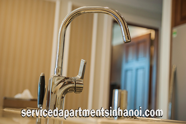 Royal Type Two bedroom Apartment Rental in Center of Hai Ba Trung 2