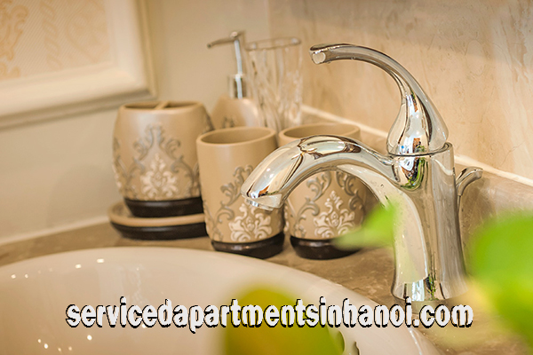 Royal Type Two bedroom Apartment Rental in Center of Hai Ba Trung 7