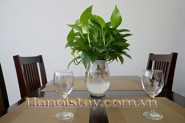 Serviced apartment closed to Deawoo Hotel, Ba Dinh 9