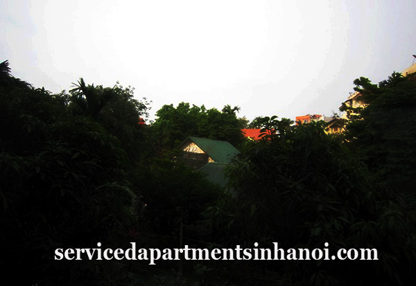 Serviced apartment for rent in Tay Ho,one bed, high qualty furnishings 3