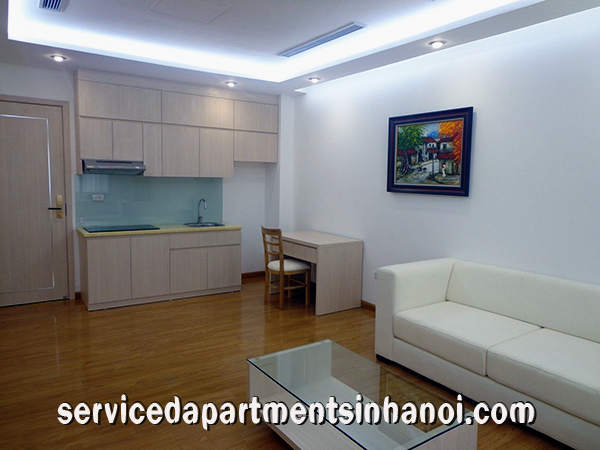 Serviced apartment in Hai ba Trung closed to Vincom Park Palace 2