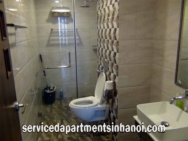 Serviced Apartment in Viglacera Thang Long Number One, Cau Giay 16