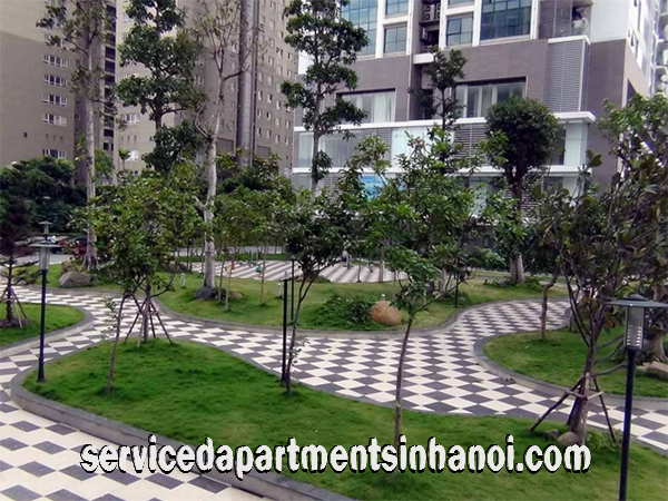 Serviced Apartment in Viglacera Thang Long Number One, Cau Giay 8