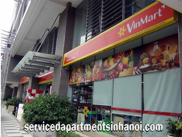 Serviced Apartment in Viglacera Thang Long Number One, Cau Giay 2