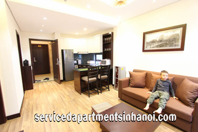 Shiny One Bedroom Apartment Rental in Center of Hoan Kiem District 1