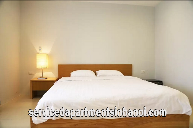 Shiny One bedroom Serviced Apartment Rental in Dang Thai Mai street, Tay Ho 3