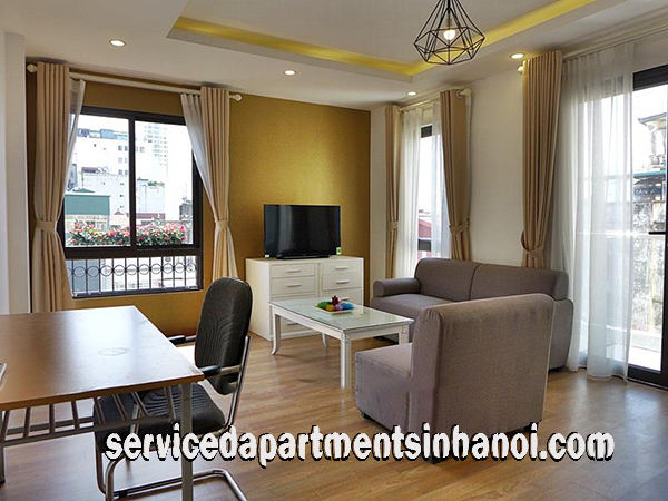 Spacious Brand New One Bedroom Apartment Rental in Hai Ba Trung district. 2