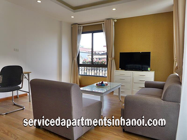 Spacious Brand New One Bedroom Apartment Rental in Hai Ba Trung district. 4