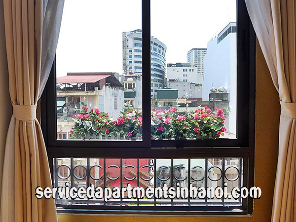 Spacious Brand New One Bedroom Apartment Rental in Hai Ba Trung district. 7