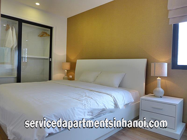 Spacious Brand New One Bedroom Apartment Rental in Hai Ba Trung district. 8