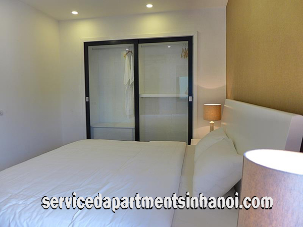 Spacious Brand New One Bedroom Apartment Rental in Hai Ba Trung district. 9