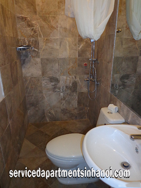 Spacious One bedroom Apartment in Tran Hung Dao street For rent 7