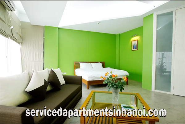 Spacious One Bedroom Apartment Rental in Quan Thanh street, Ba Dinh 2