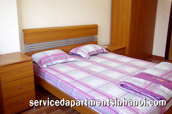 Spacious Two Bedroom Apartment for rent in Hai Ba Trung 9
