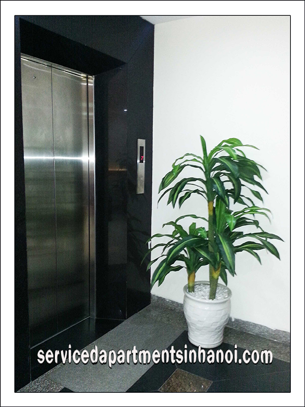 Studio and One bedroom apartment Rental In Nguyen Ngoc Vu st, Cau Giay 8