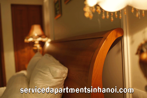Stunning one bedroom Rental apartment near Vincom Tower, Hai Ba Trung 8