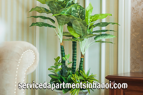 Stunning Two Bedroom Apartment for rent near Hoa Ma Str, Hai Ba Trung district 7