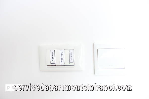 Stunning Two Bedroom Apartment Rental in Dolphin Plaza, Nam Tu Liem 6
