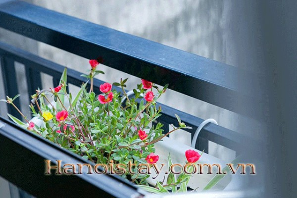 TINKLING APARTMENT in TAY HO - COZY SPACE, CLOSE, MODERN ROOM 4