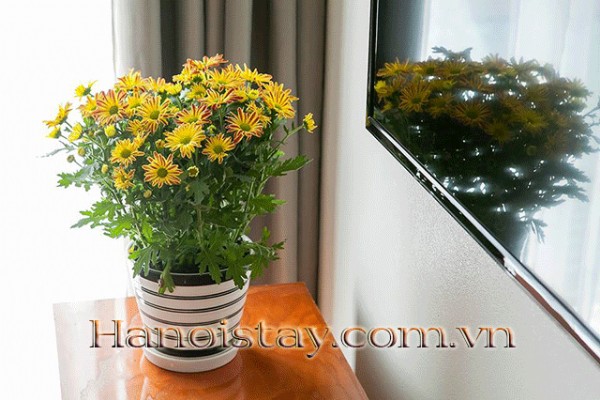 TINKLING APARTMENT in TAY HO - COZY SPACE, CLOSE, MODERN ROOM 28