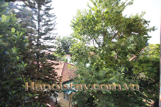 Tranquil and Very Nice Apartment Rental in Dang Thai Mai street, Tay Ho 10