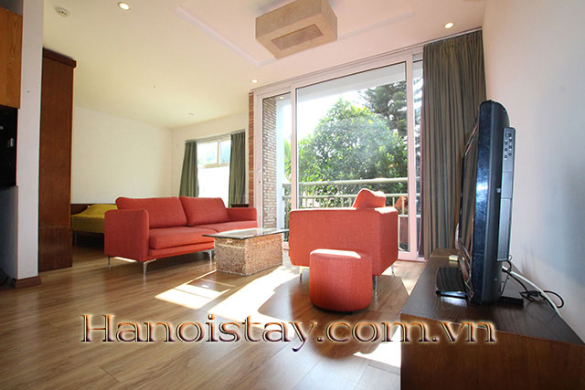 Tranquil and Very Nice Apartment Rental in Dang Thai Mai street, Tay Ho 4