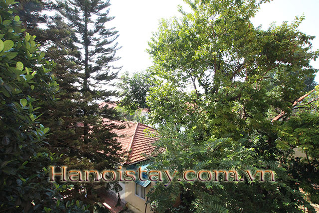Tranquil and Very Nice Apartment Rental in Dang Thai Mai street, Tay Ho 7