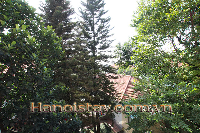 Tranquil and Very Nice Apartment Rental in Dang Thai Mai street, Tay Ho 9
