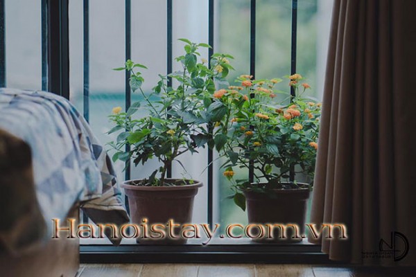 Tranquil One Bedroom Apartment Rental in Hoan Kiem Area, Full Services 6