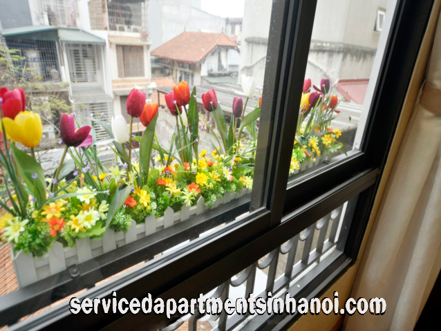 Two Bedroom Apartment for rent in Hai Ba Trung district, Brand New Amenities 2
