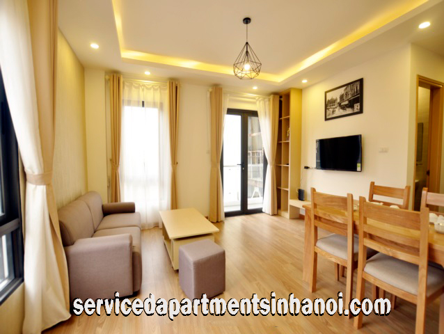 Two Bedroom Apartment for rent in Hai Ba Trung district, Brand New Amenities 3