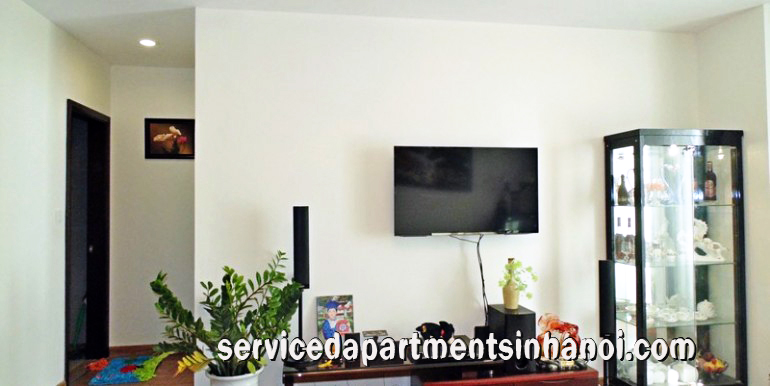 Two bedroom apartment rental in Times City, Hai Ba Trung, Spacious Livingroom 6