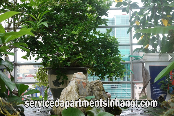 Very Bright Apartment Rental in Le Duan str, Hoan Kiem 12
